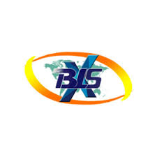 BLSX Limited